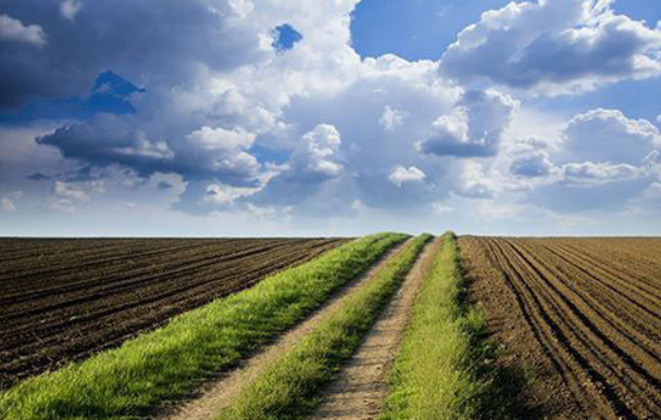 土壤改（gǎi）良