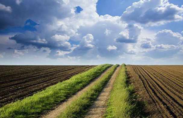 土壤改良（liáng）